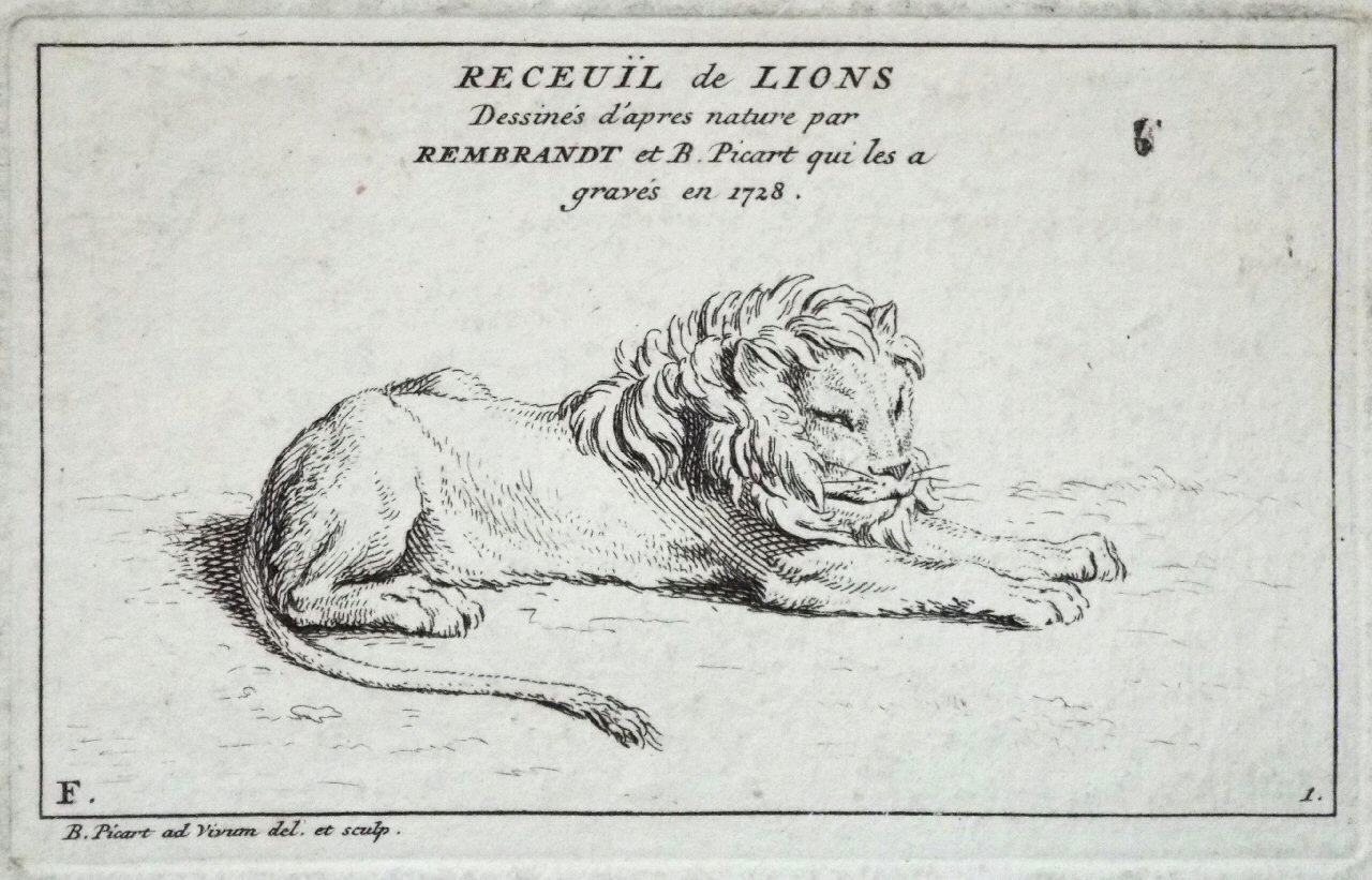 Etching - F. 1. Lion - Picart